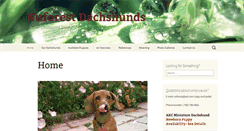 Desktop Screenshot of nuforestdachshunds.com
